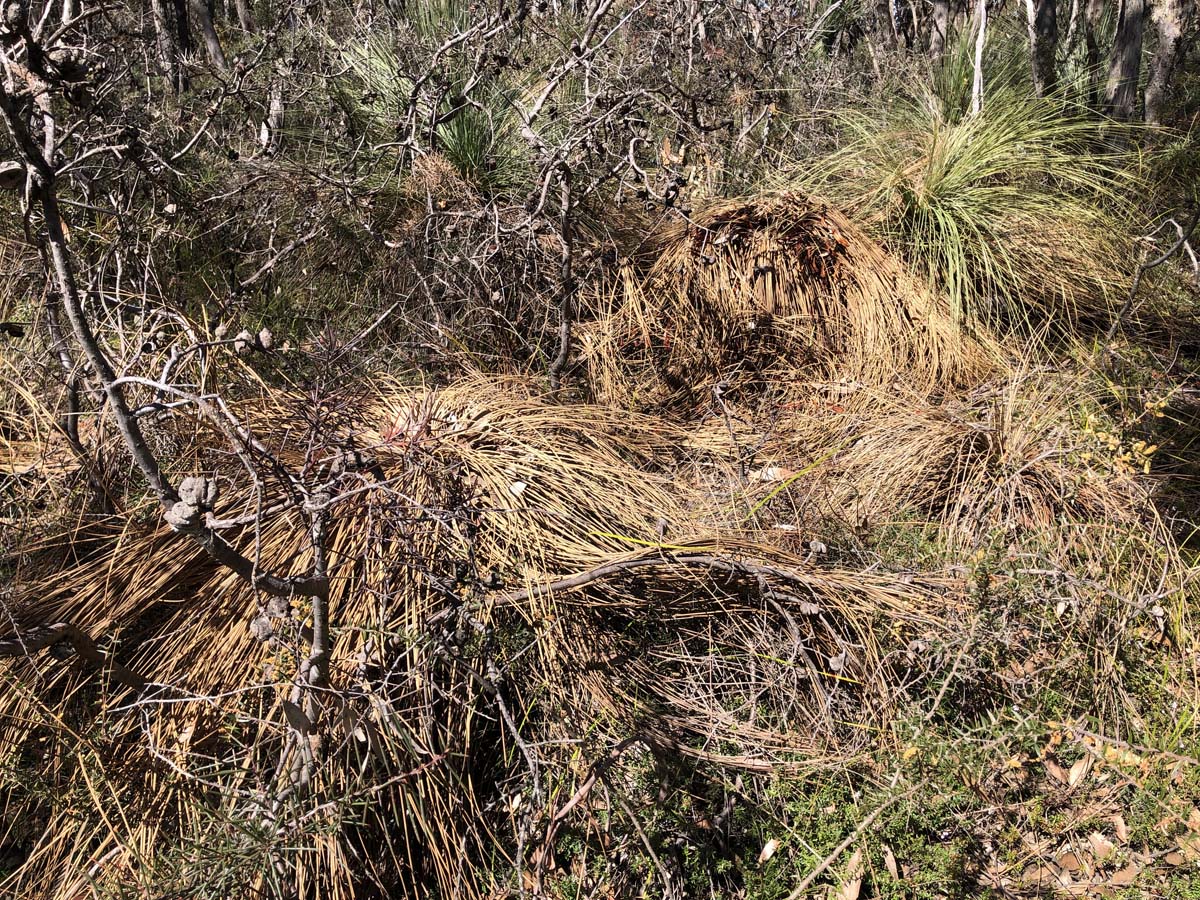 East walk & spanish onion circuit hike 17