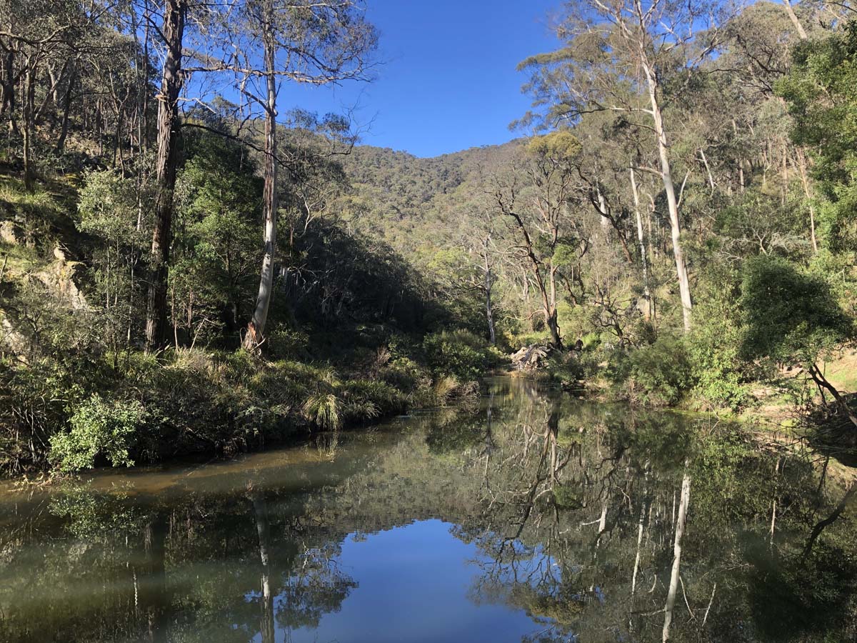 East walk & spanish onion circuit hike 2