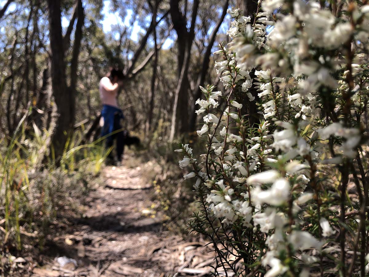 East walk & spanish onion circuit hike 20