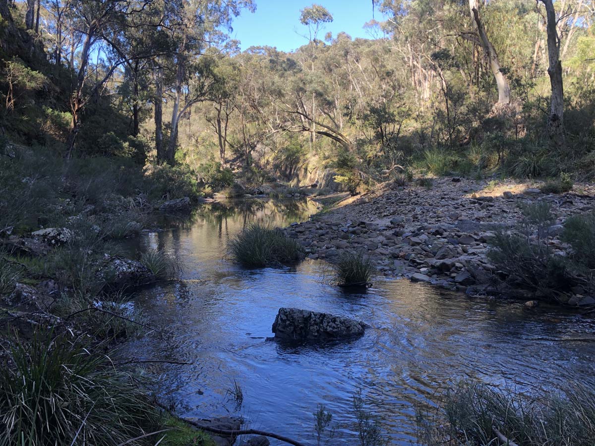 East walk & spanish onion circuit hike 3