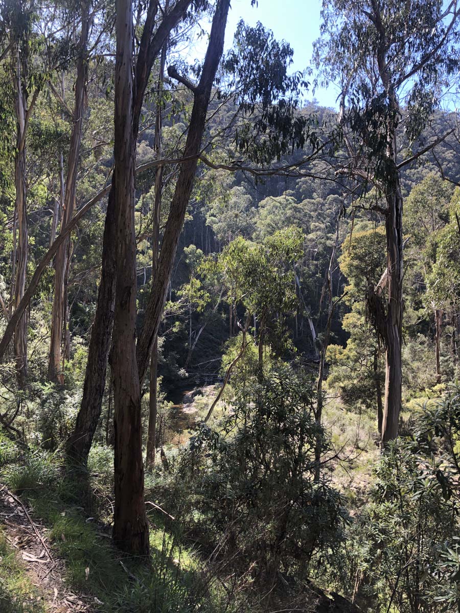 East walk & spanish onion circuit hike 4