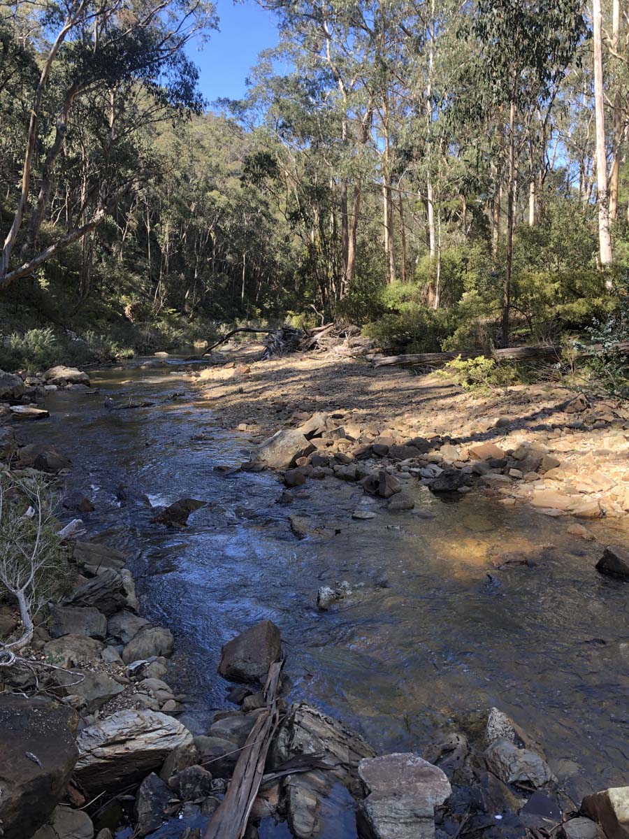 East walk & spanish onion circuit hike 5