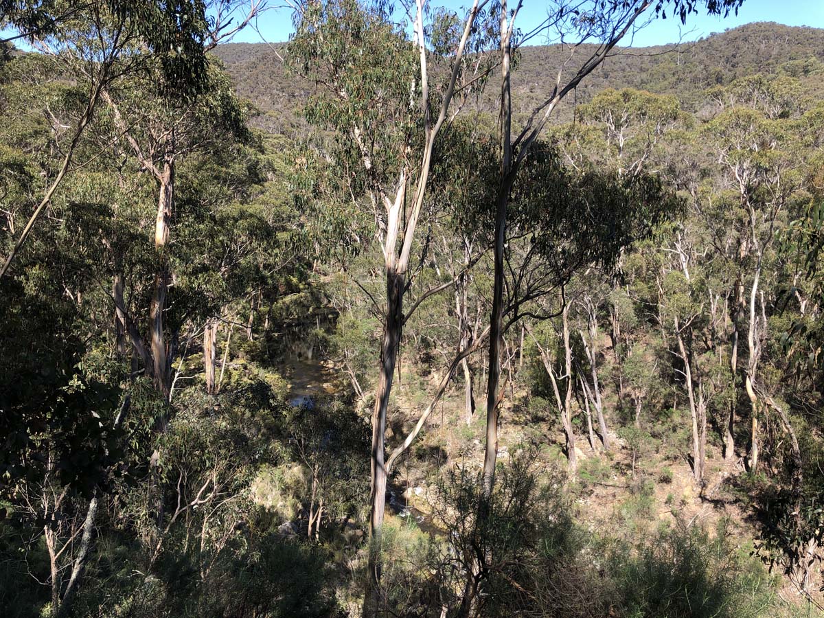 East walk & spanish onion circuit hike 6