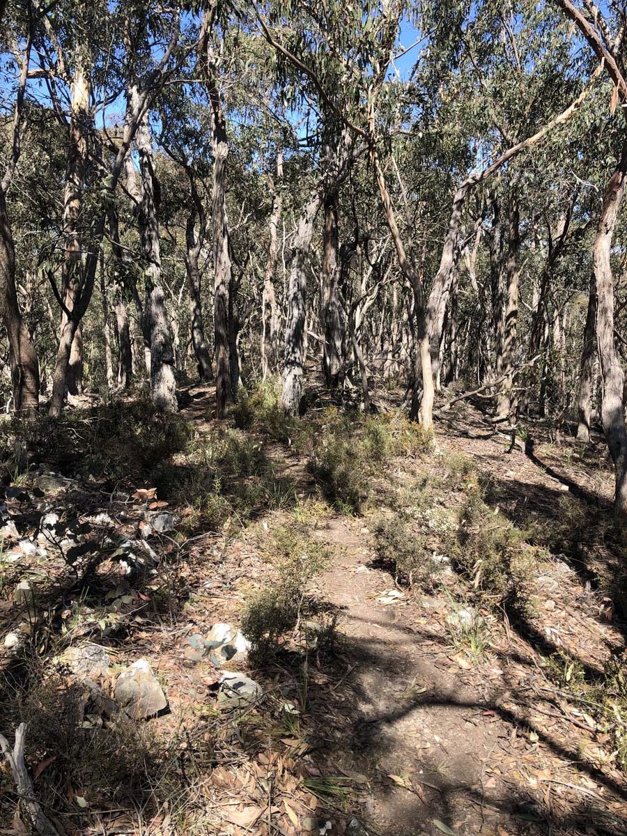 East walk & spanish onion circuit hike 7