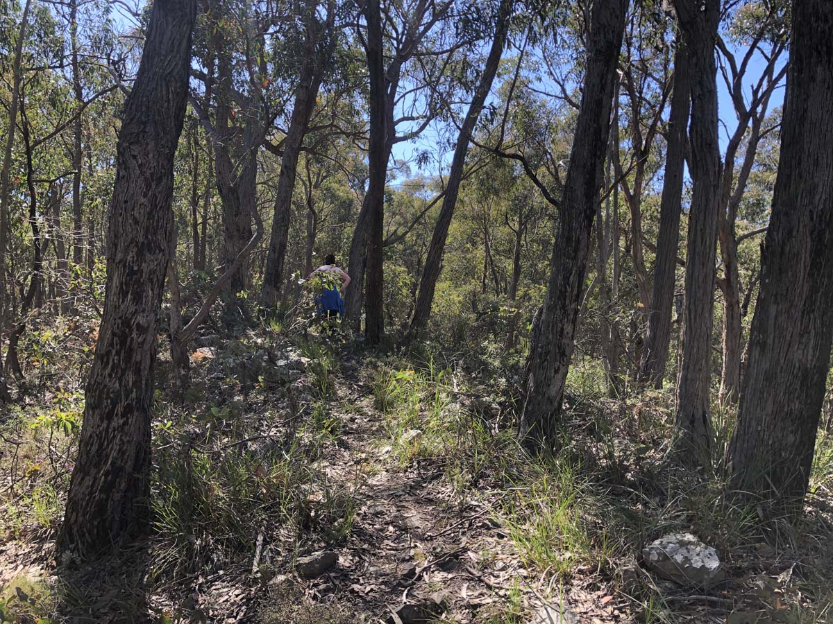 East walk & spanish onion circuit hike 8