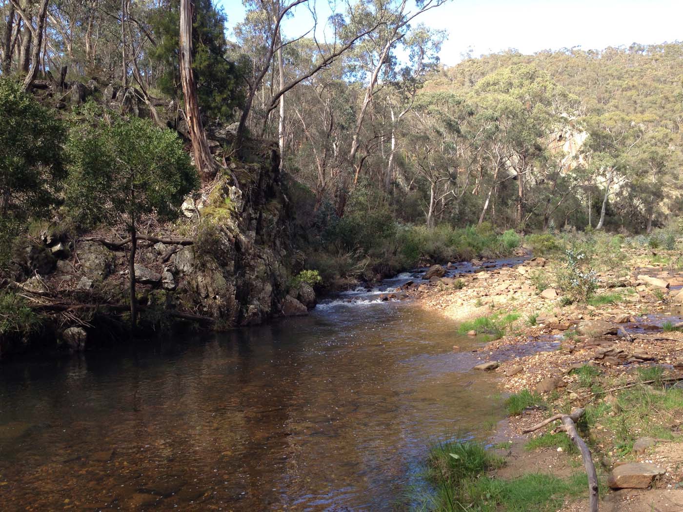 East walk, nolan track & the tunnel hike (1)