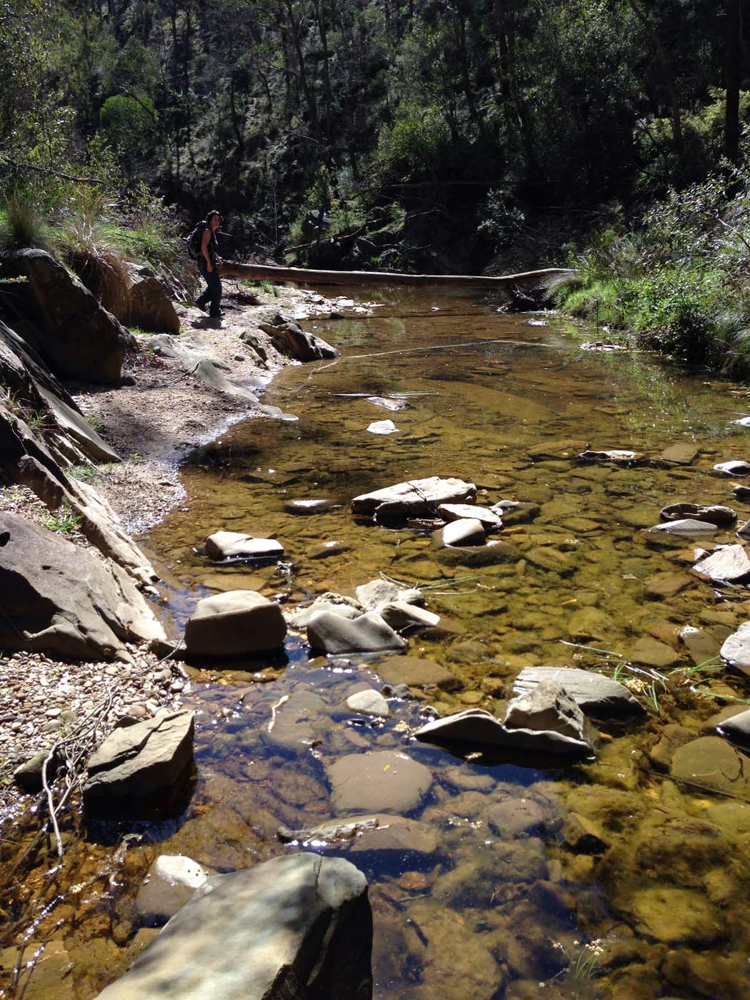 East walk, nolan track & the tunnel hike (10)