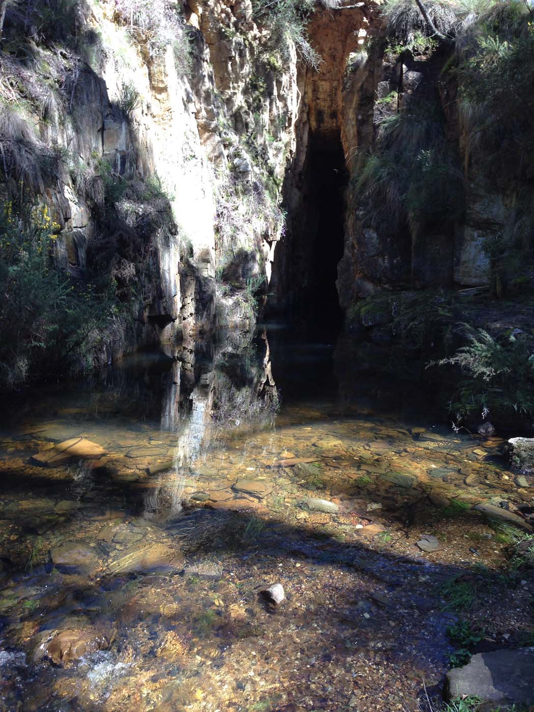 East walk, nolan track & the tunnel hike (11)