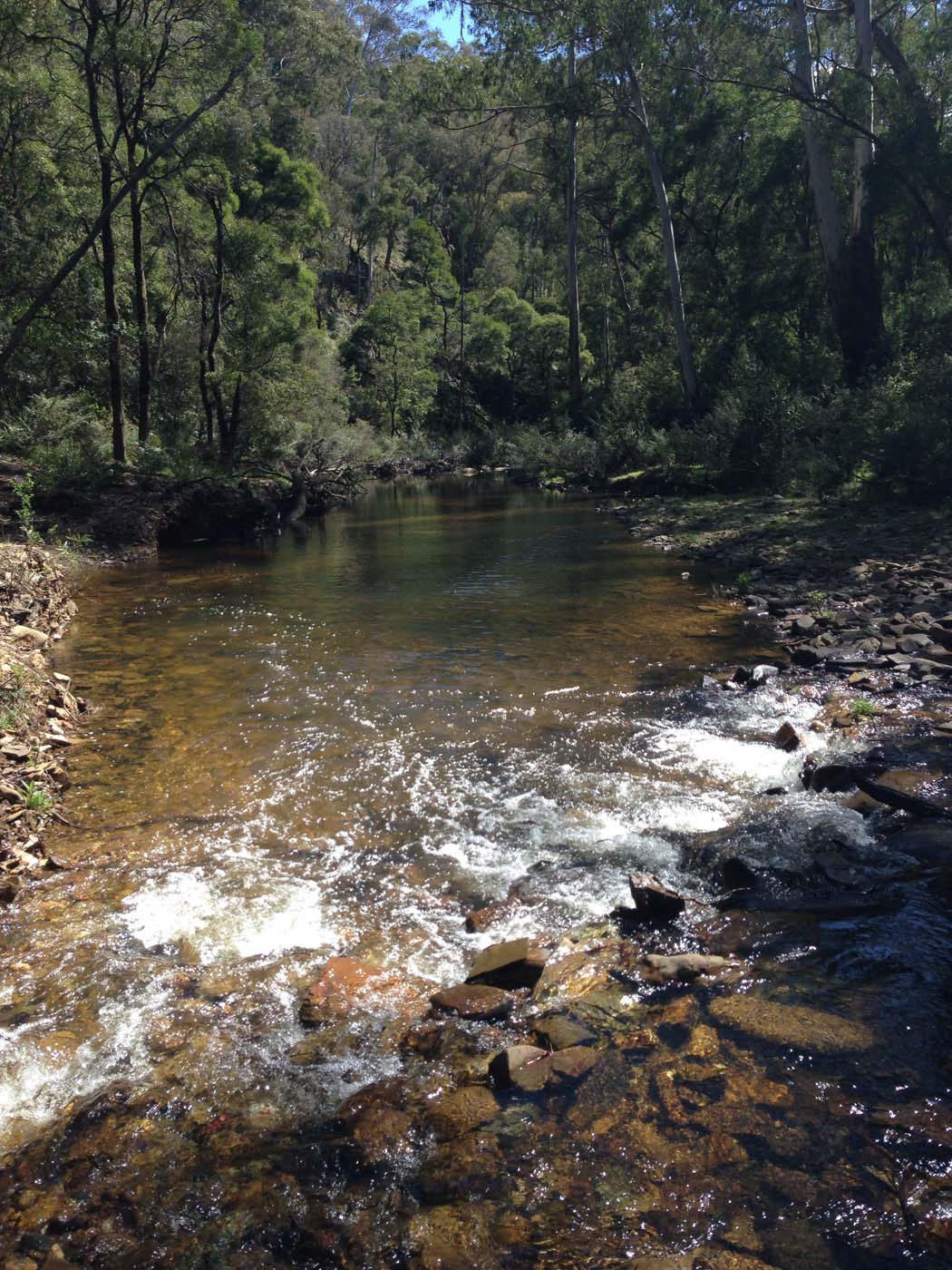 East walk, nolan track & the tunnel hike (12)