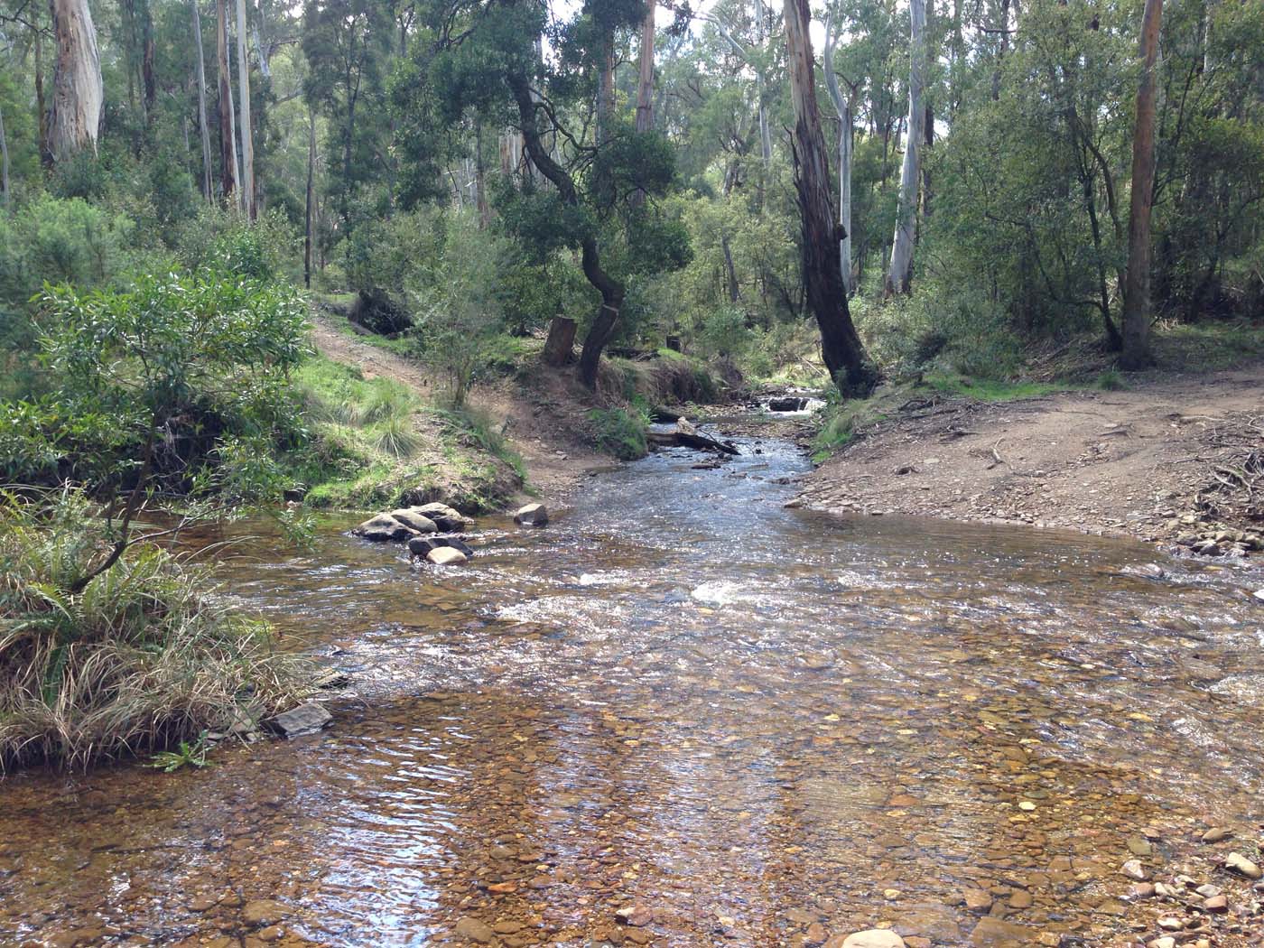 East walk, nolan track & the tunnel hike (14)
