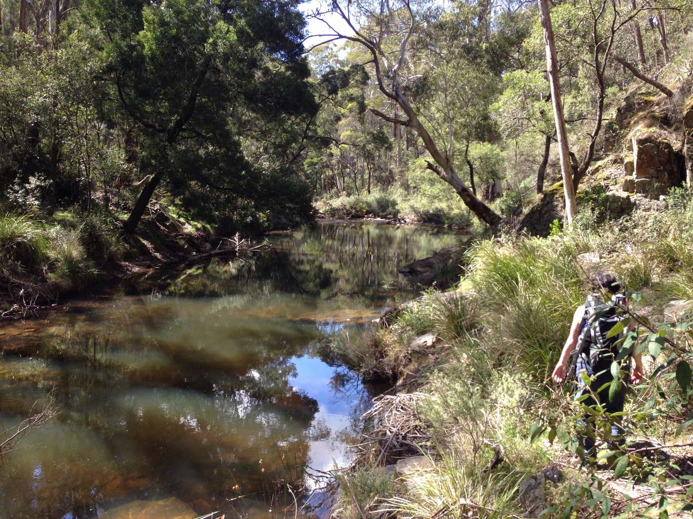 East walk, nolan track & the tunnel hike (16)
