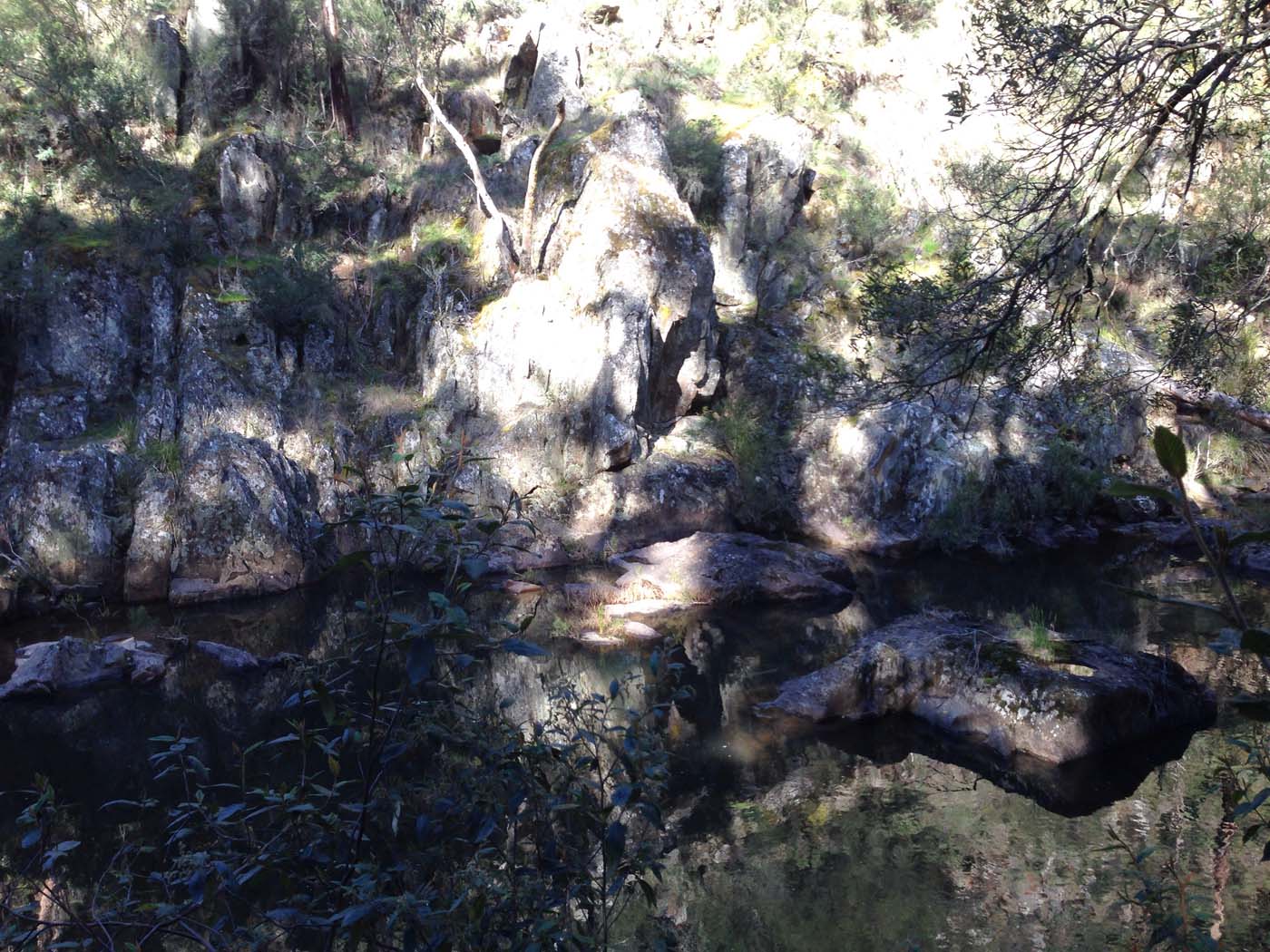 East walk, nolan track & the tunnel hike (2)