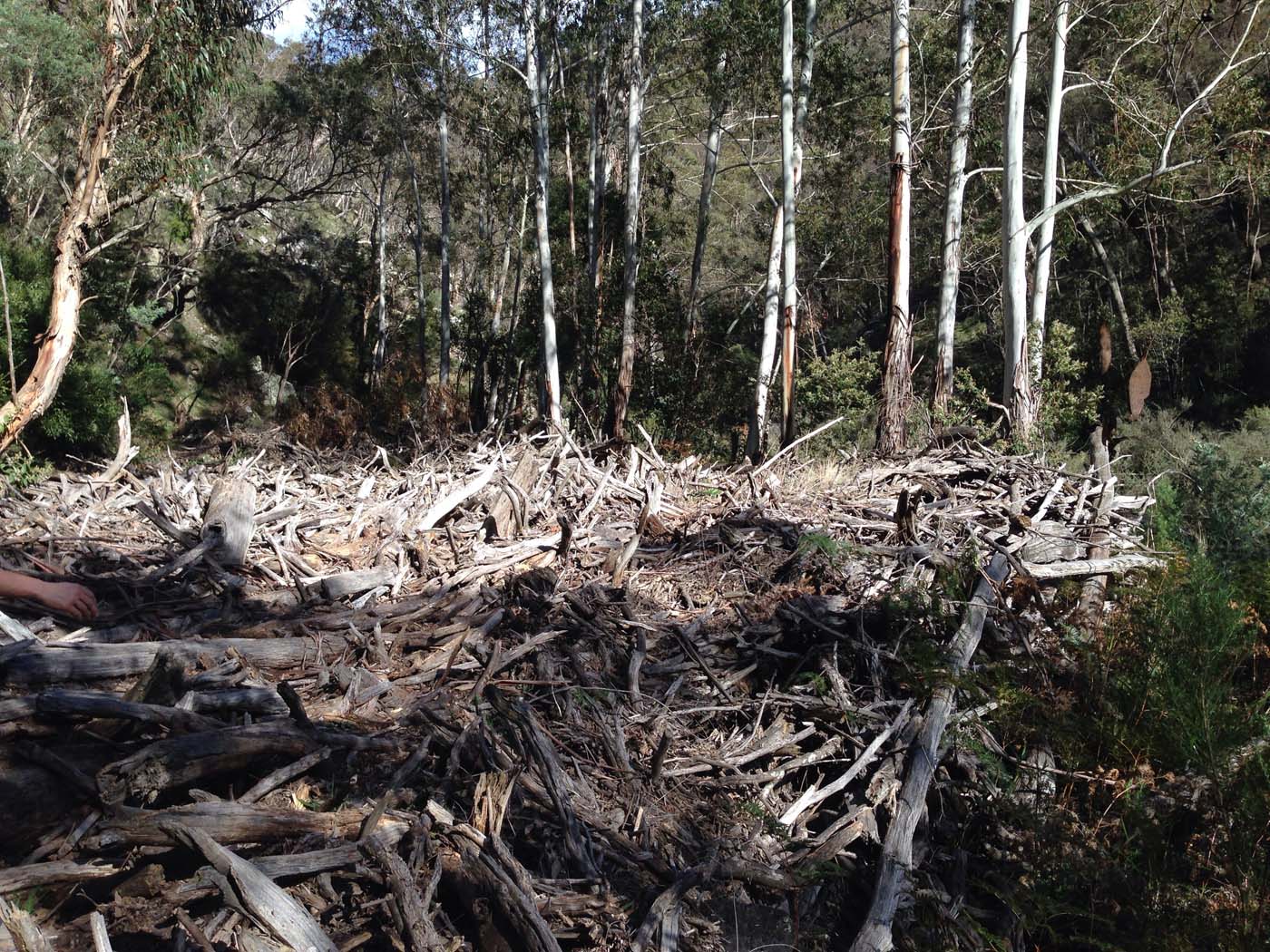 East walk, nolan track & the tunnel hike (3)