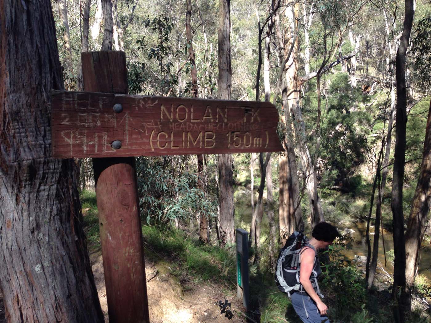 East walk, nolan track & the tunnel hike (4)