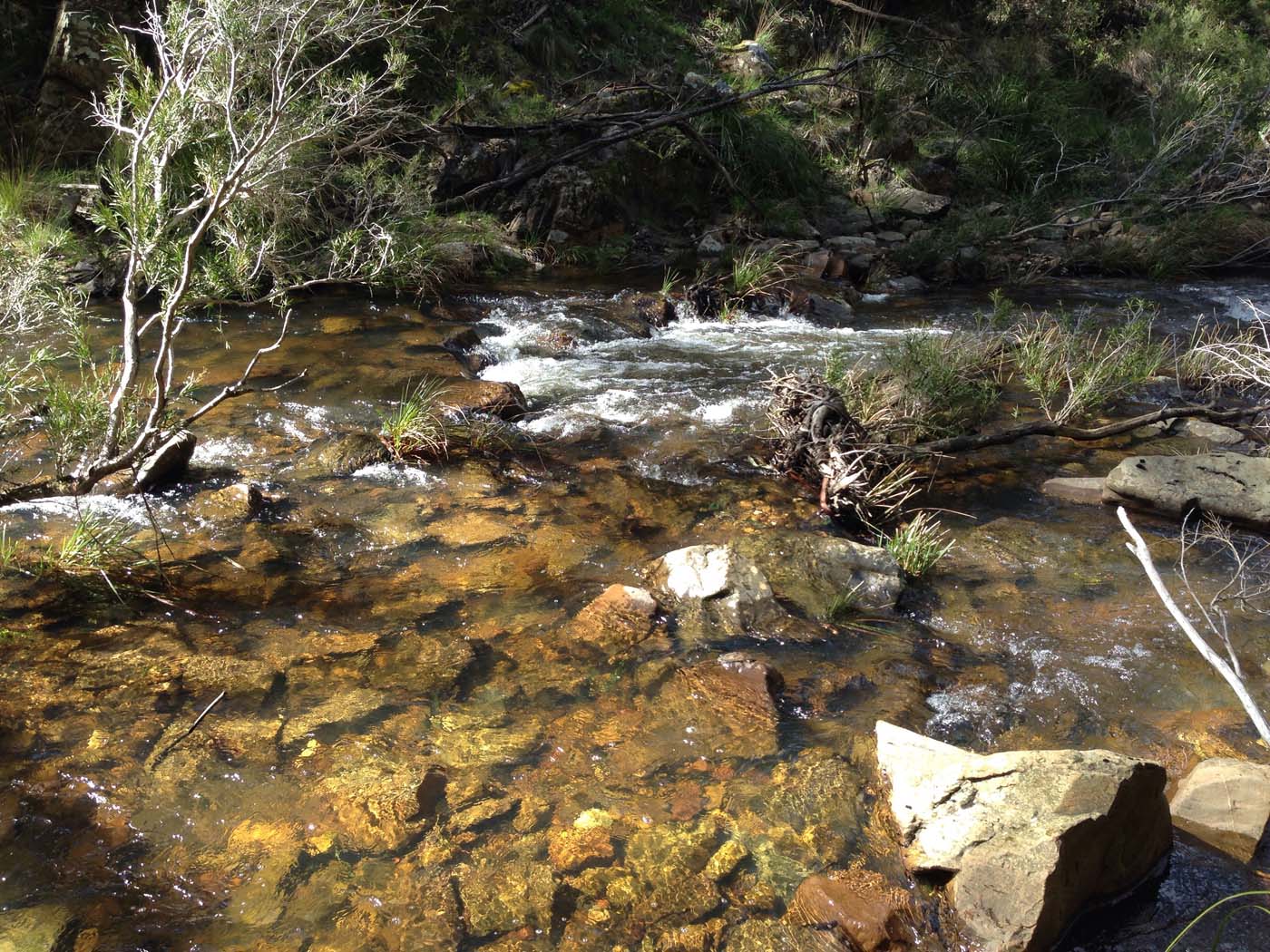 East walk, nolan track & the tunnel hike (5)