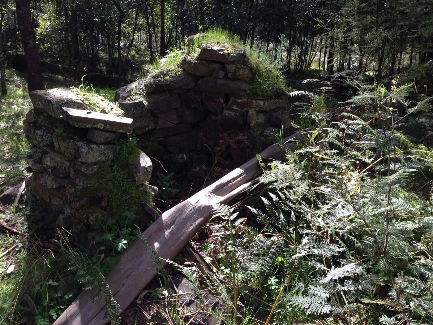 East walk, nolan track & the tunnel hike (6)