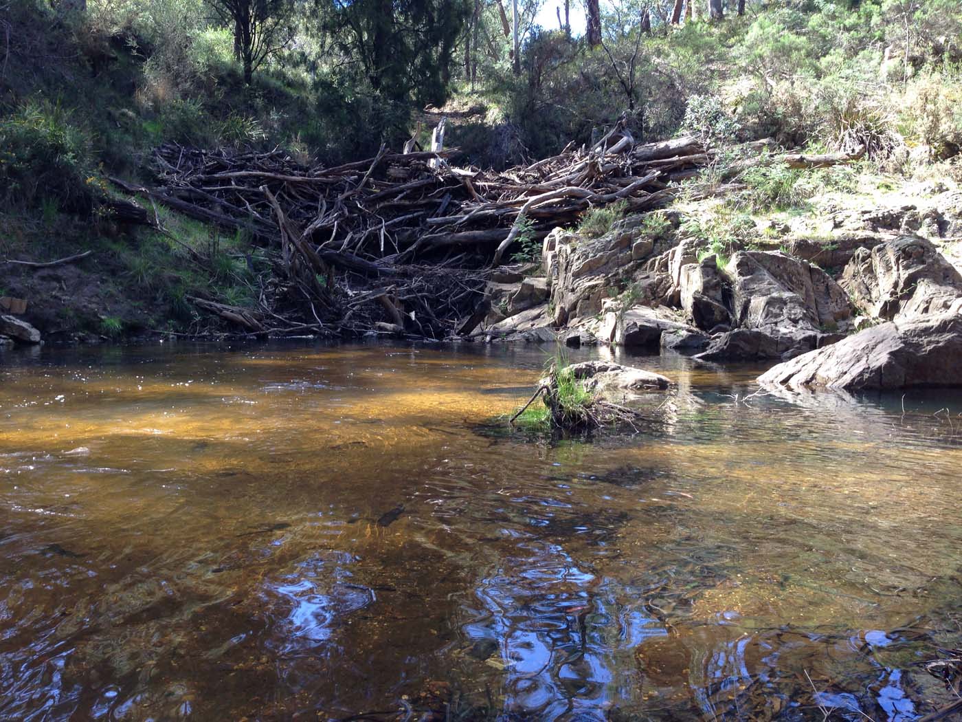 East walk, nolan track & the tunnel hike (7)