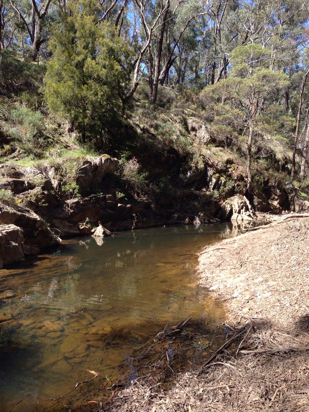 East walk, nolan track & the tunnel hike (8)