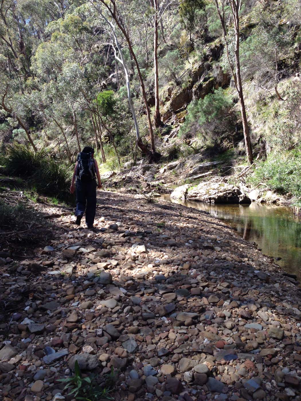 East walk, nolan track & the tunnel hike (9)