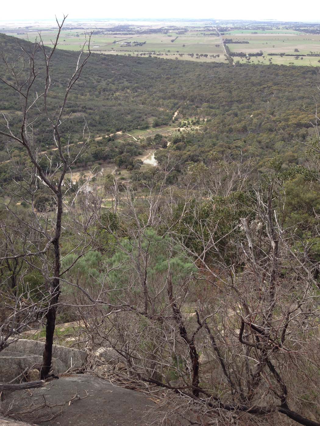 East west walk (15)