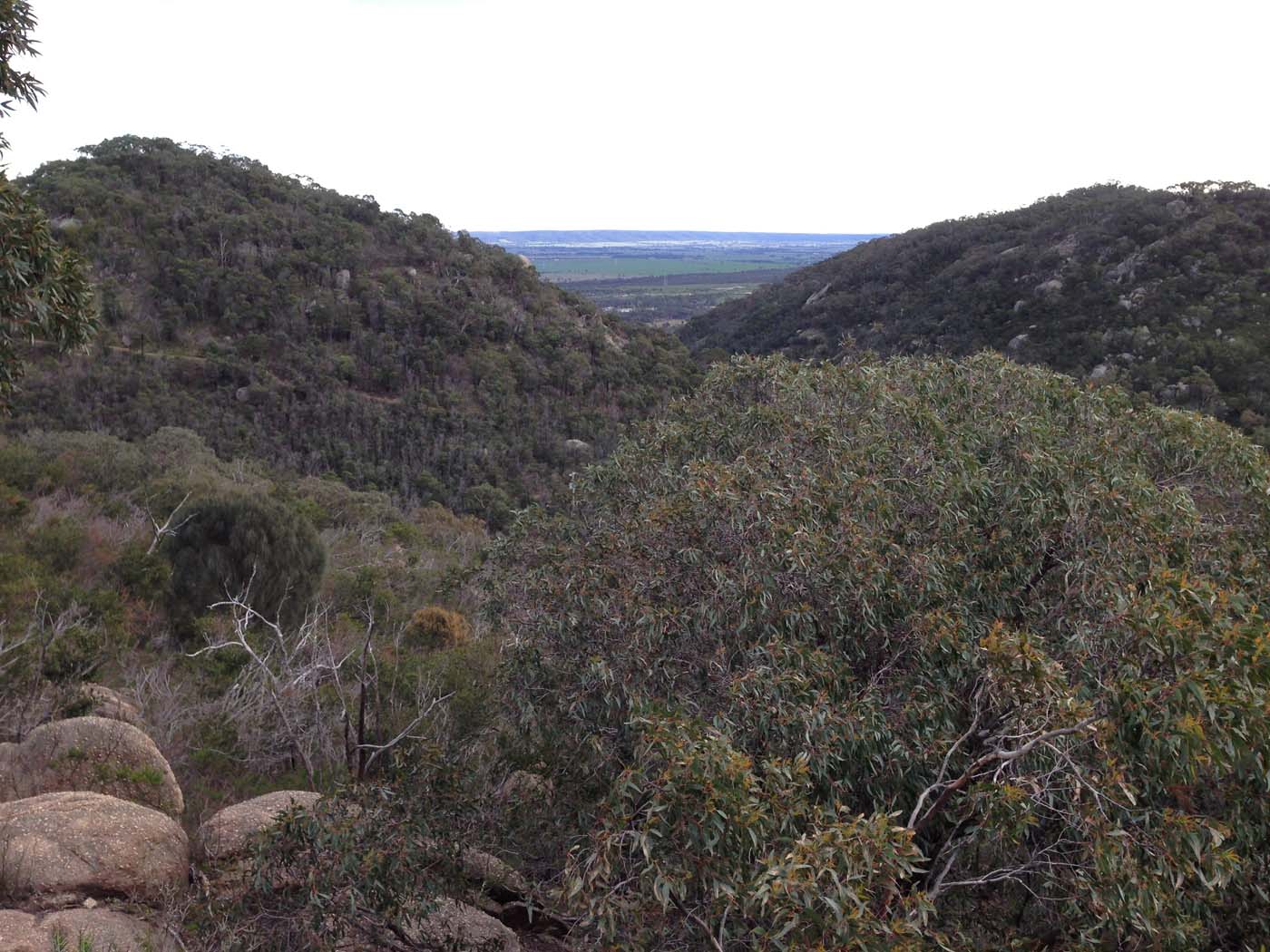 East west walk (17)