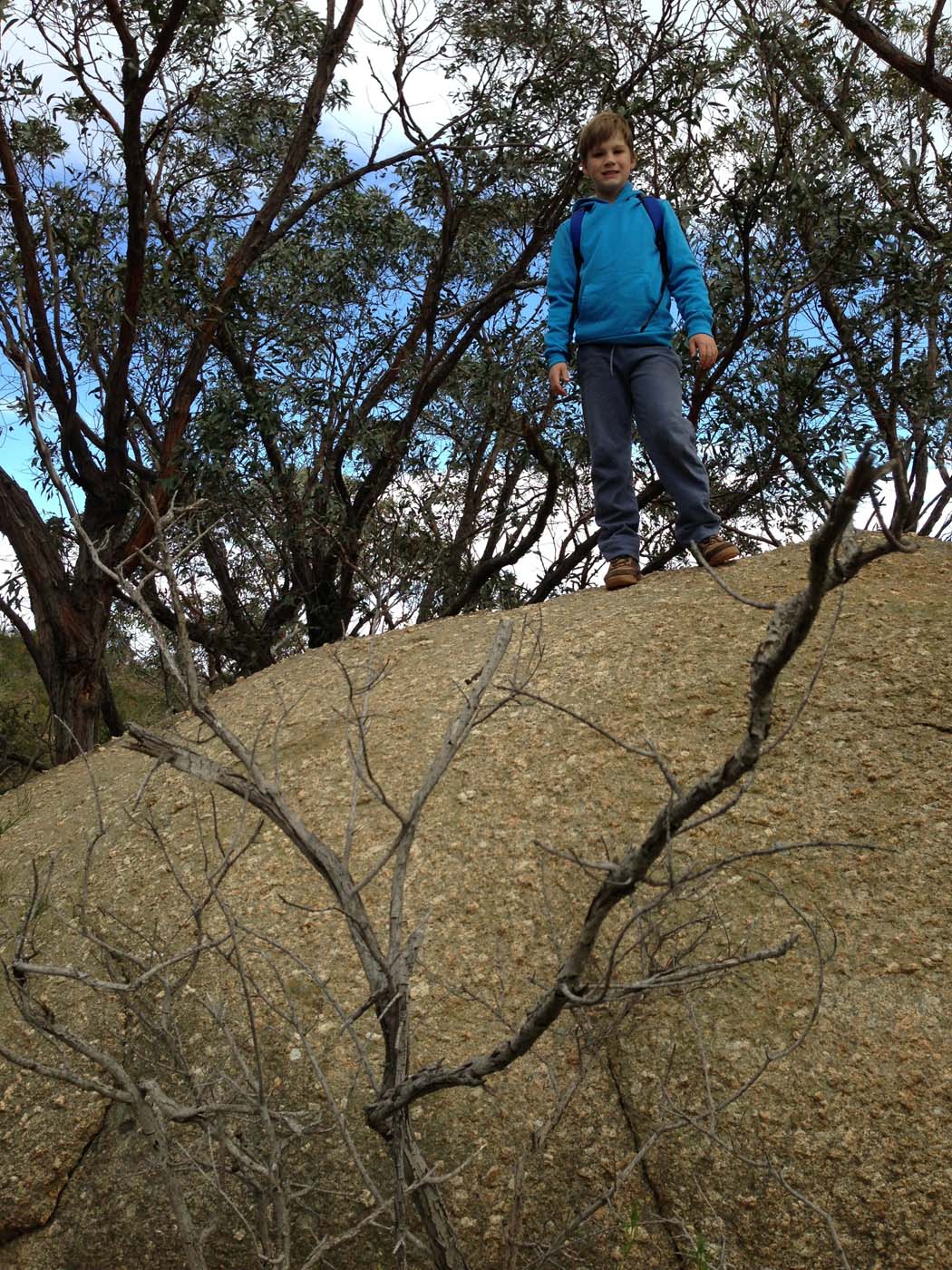 East west walk (18)