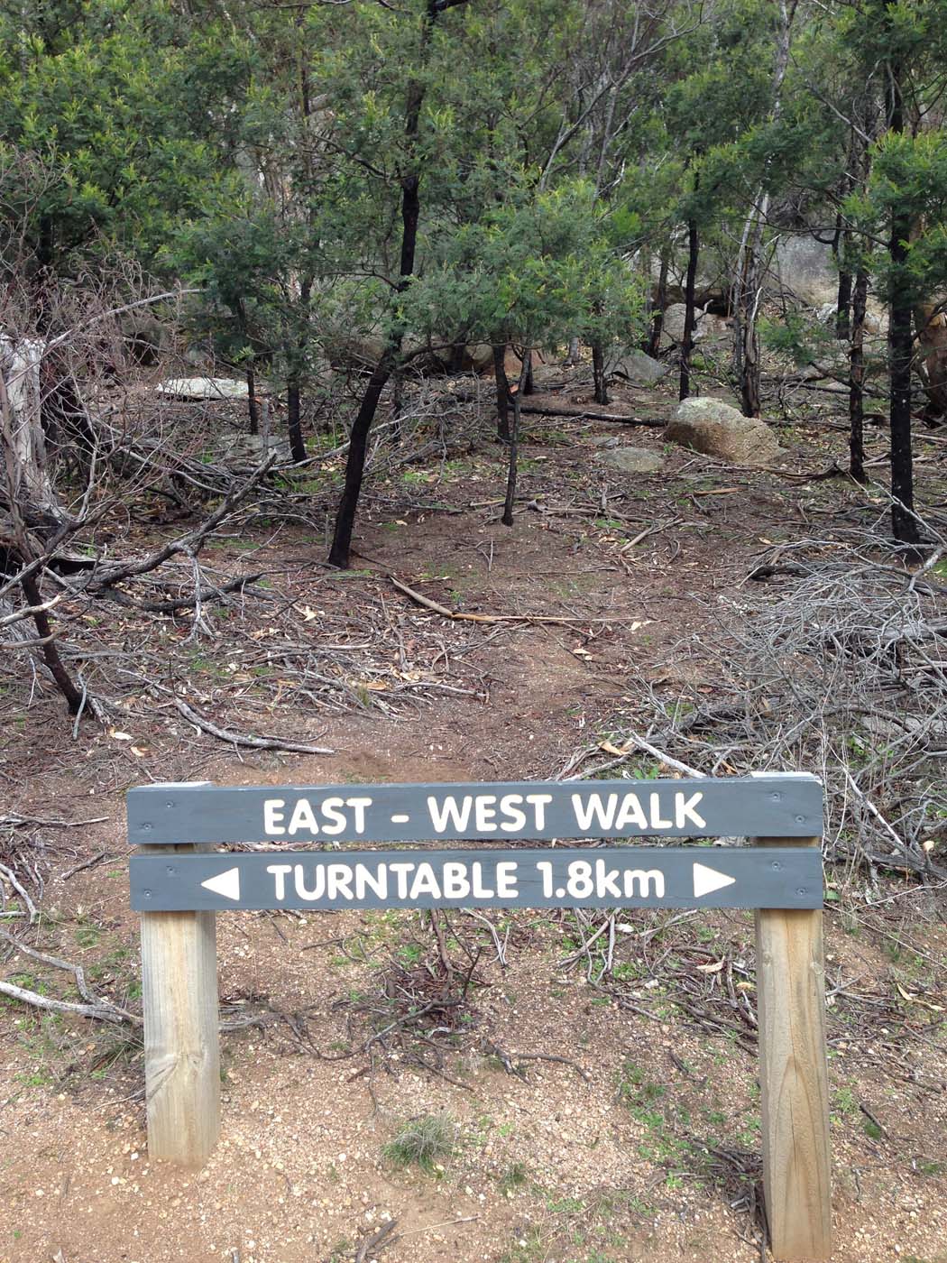 East west walk (19)