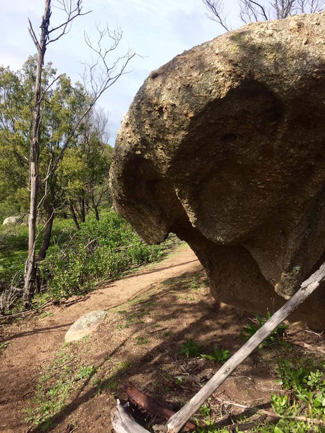 East west walk (25)