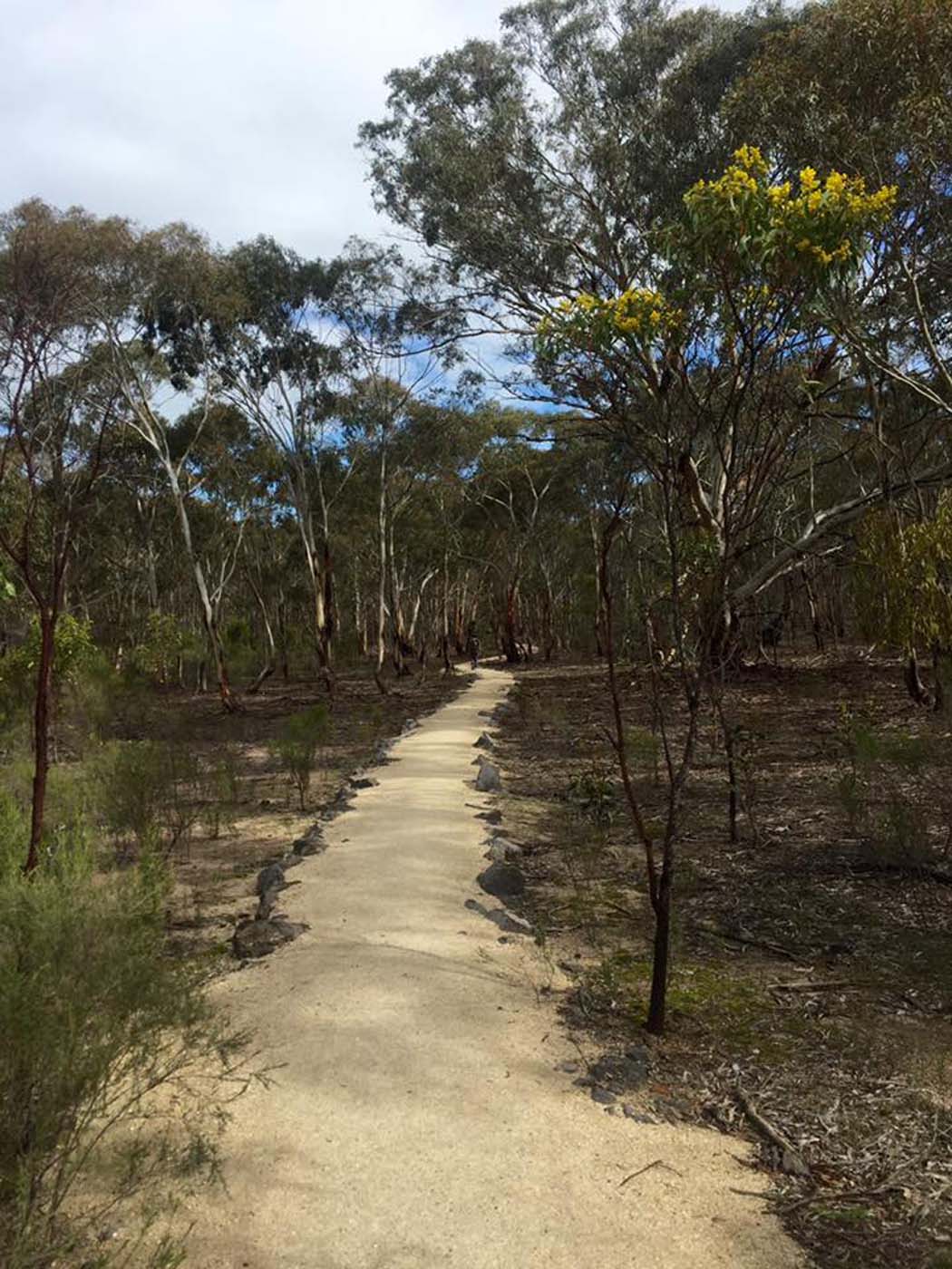 East west walk (27)