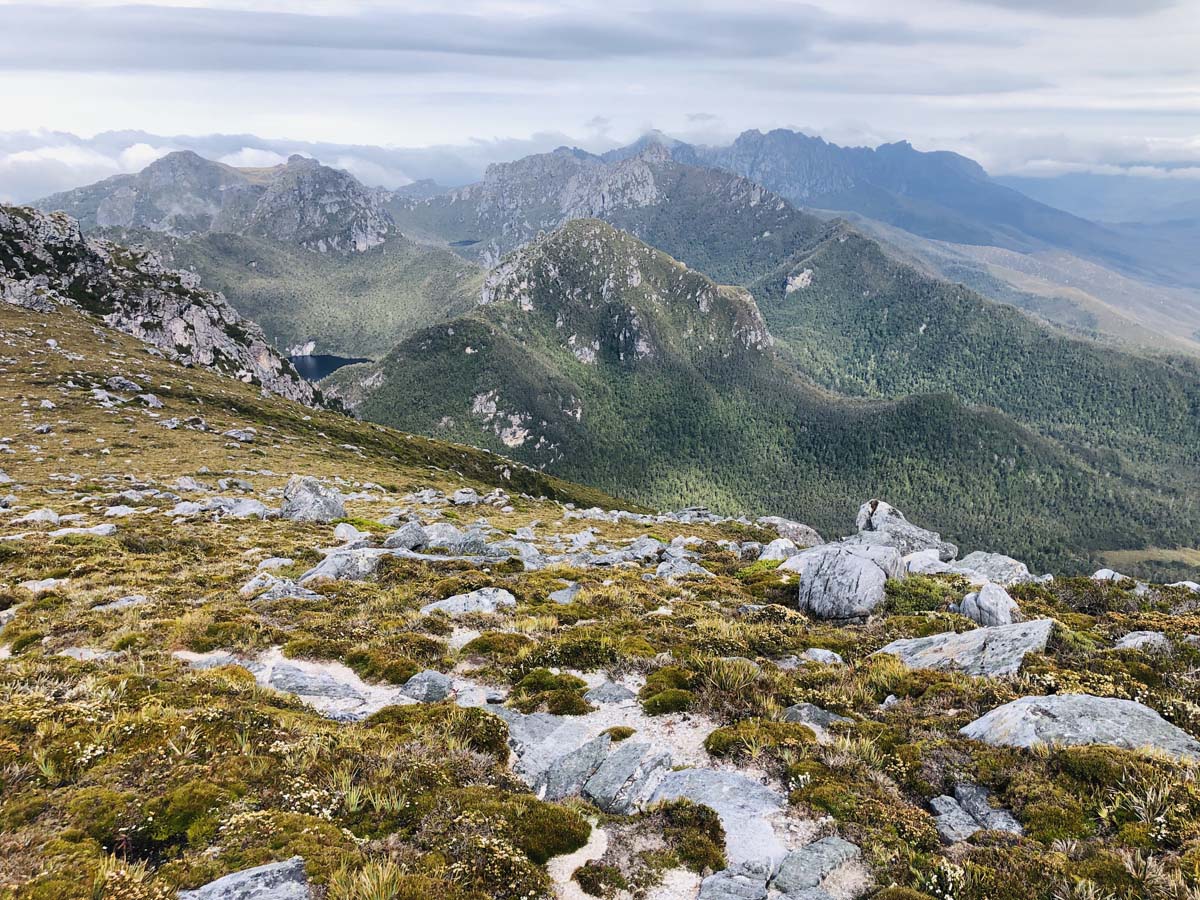 Eastern arthur range traverse (12)