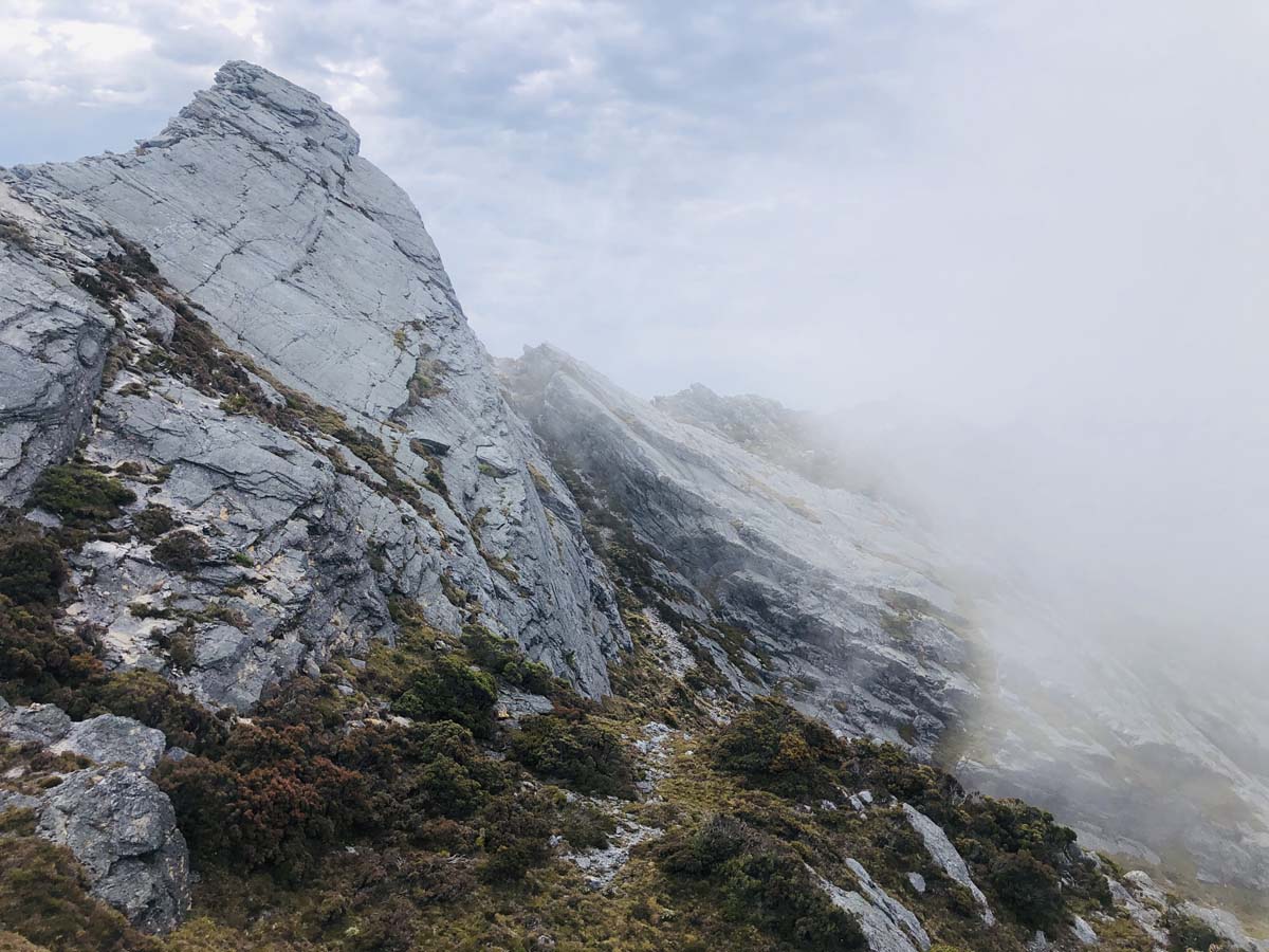 Eastern arthur range traverse (13)