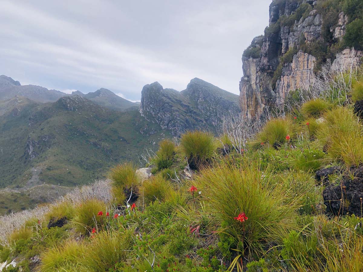Eastern arthur range traverse (15)