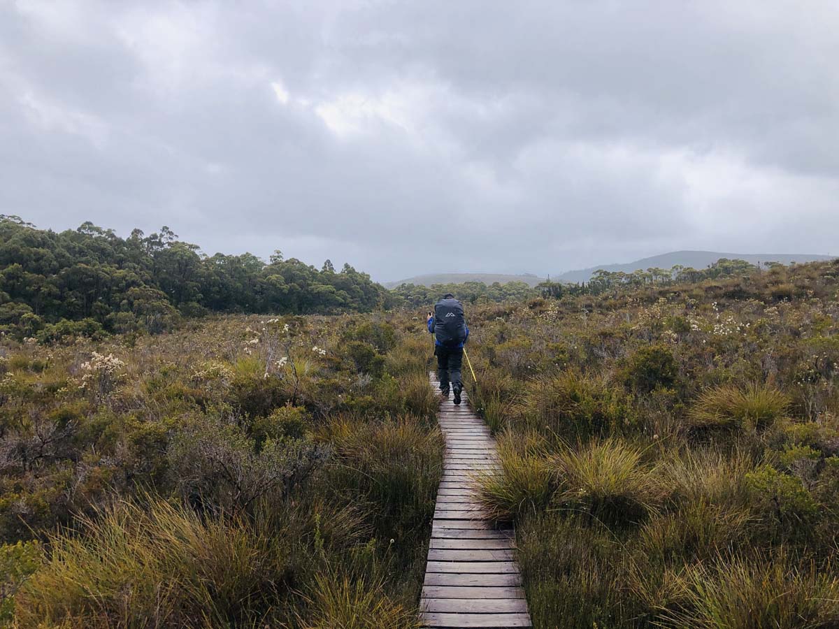 Eastern arthur range traverse (2)
