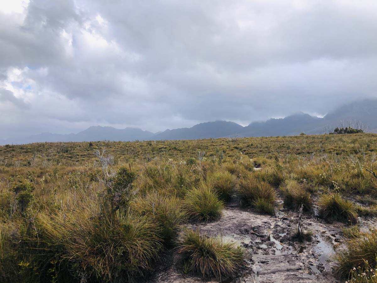 Eastern arthur range traverse (4)