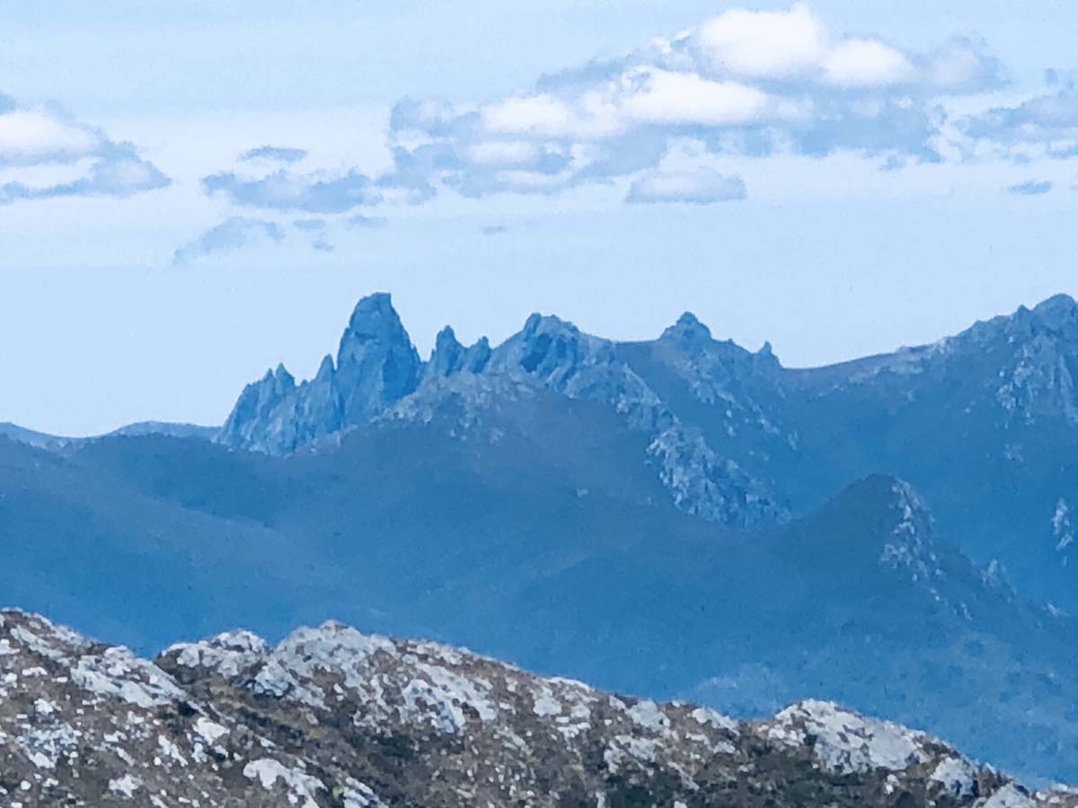 Eastern arthur range traverse (8)