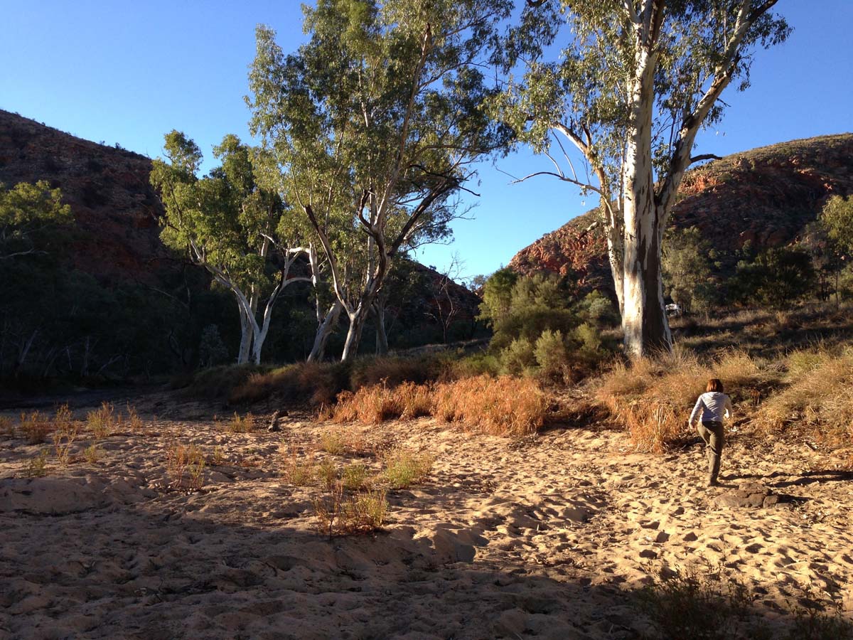Ellery creek dolomite circuit walk 9
