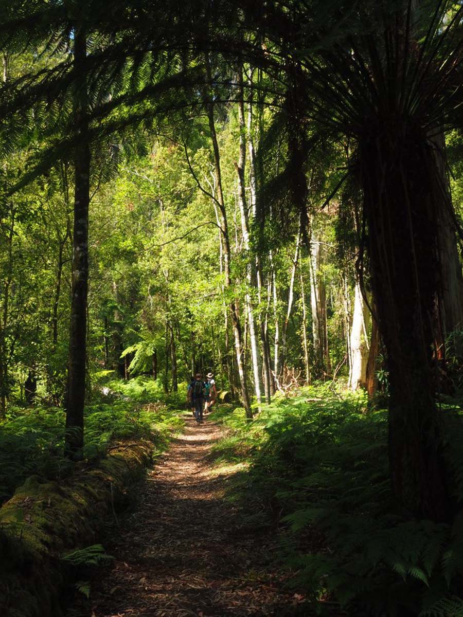 Erskine falls circuit walk 1