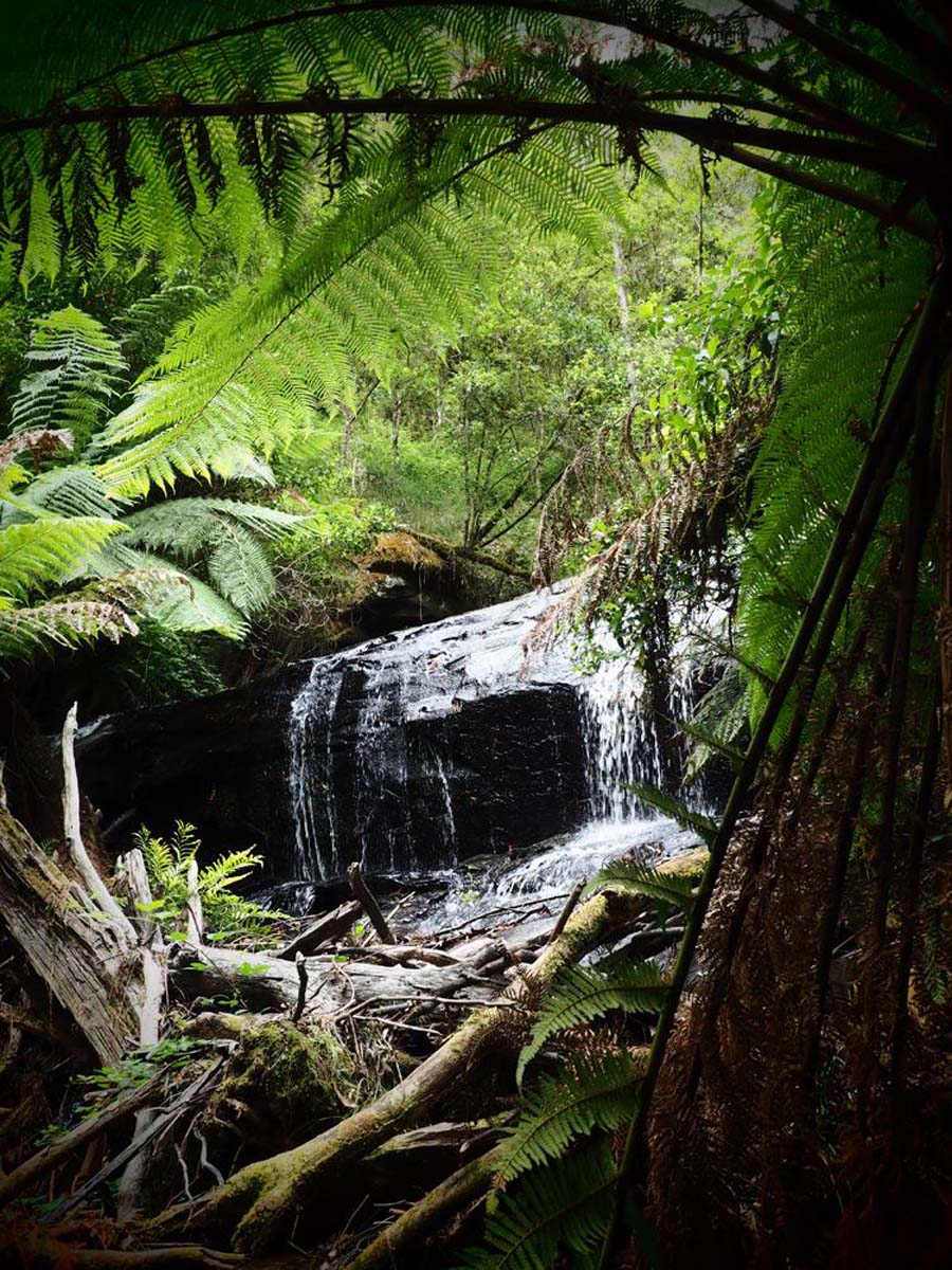 Erskine falls circuit walk 13