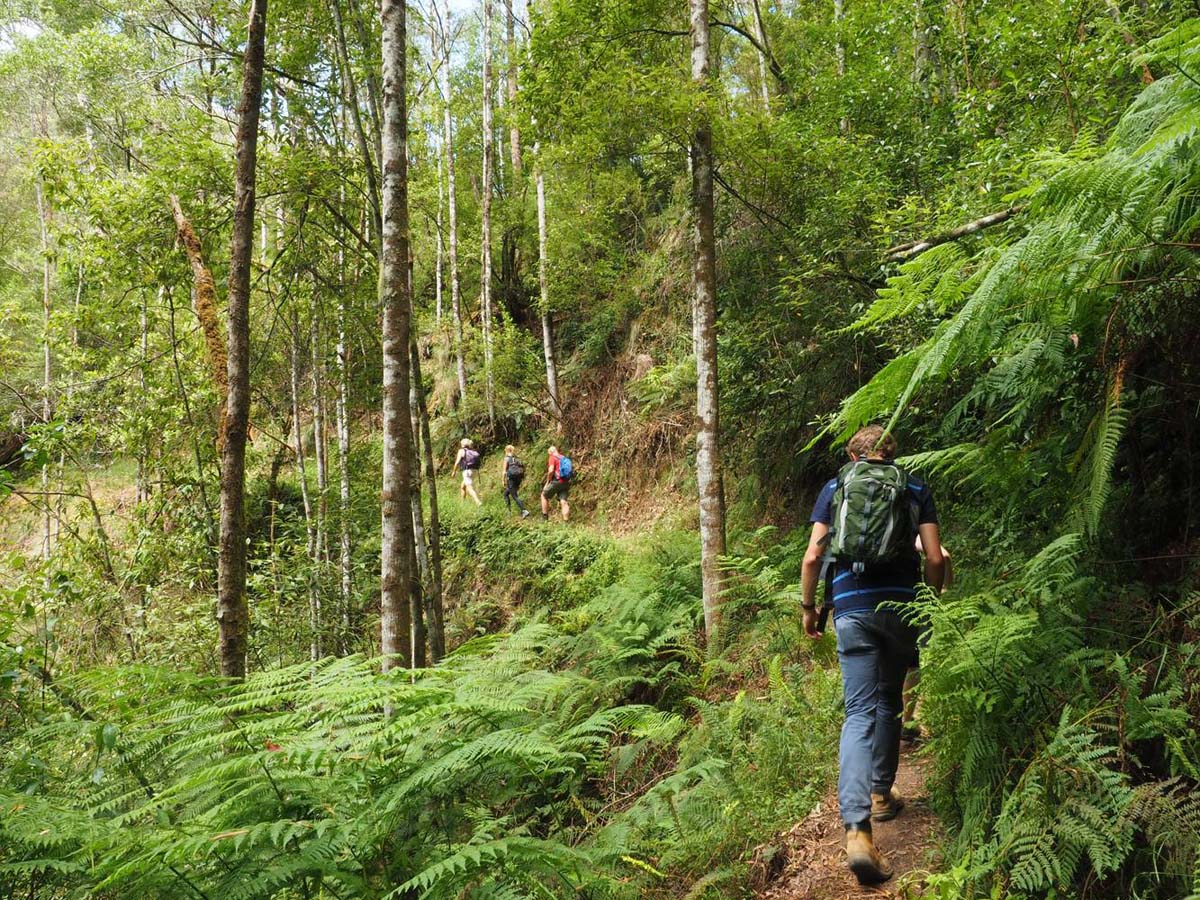 Erskine falls circuit walk 14