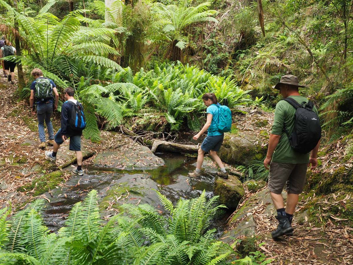 Erskine falls circuit walk 9