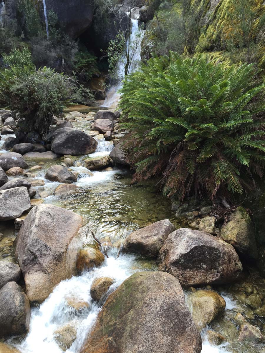 Eurobin falls walk 1