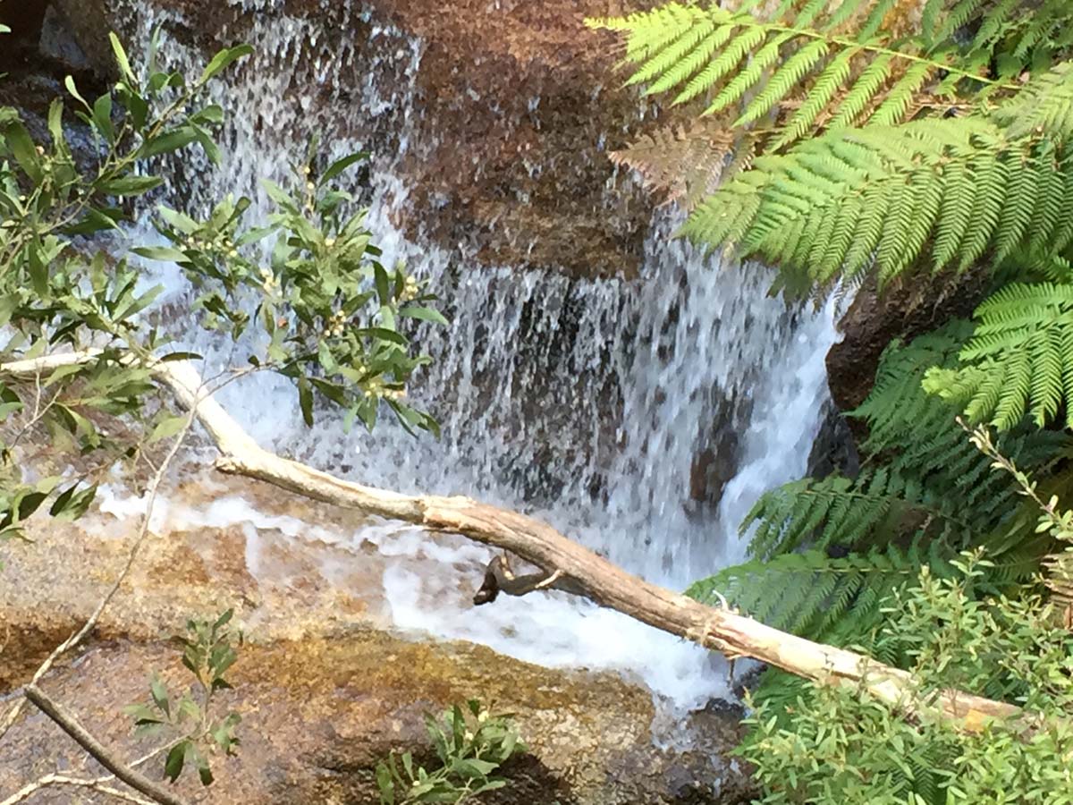 Eurobin falls walk 14