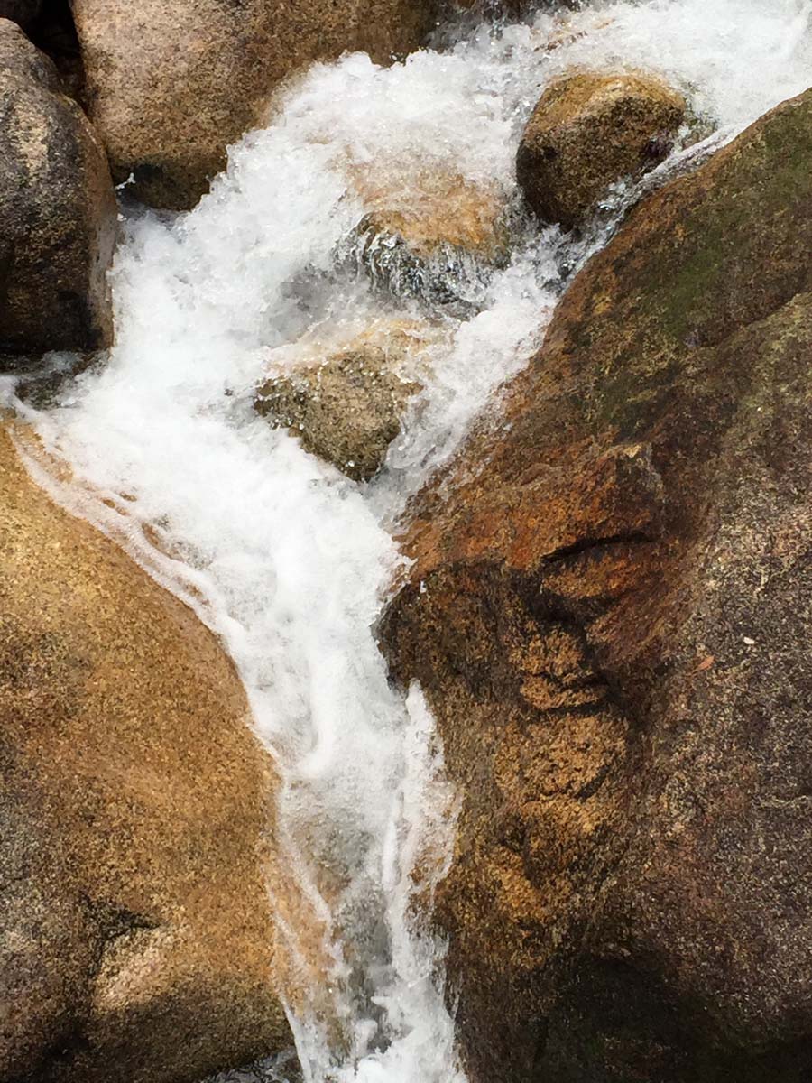 Eurobin falls walk 2