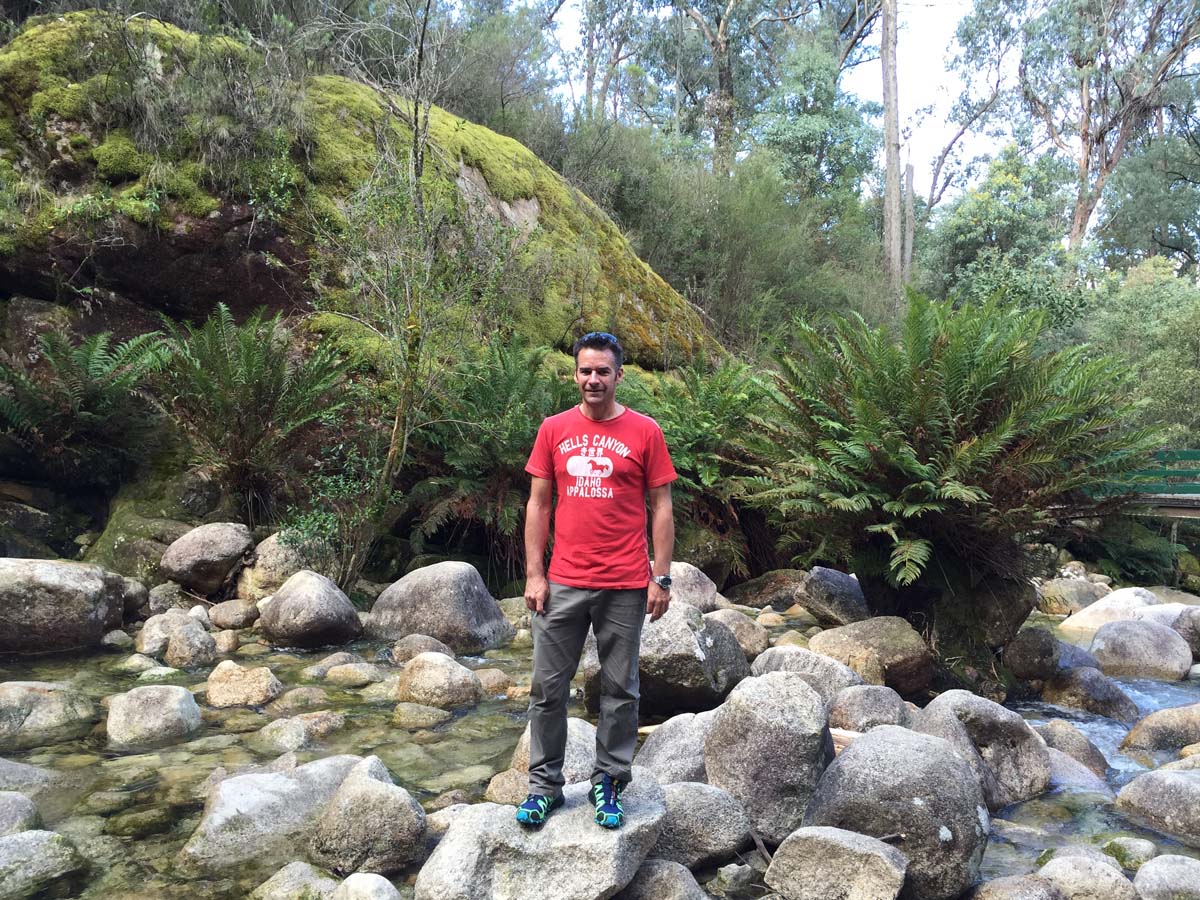 Eurobin falls walk 7