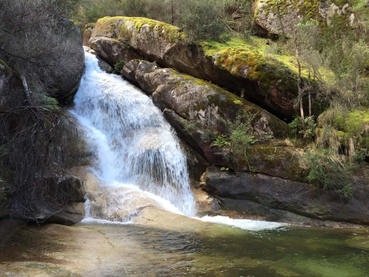 Eurobin falls walk 8