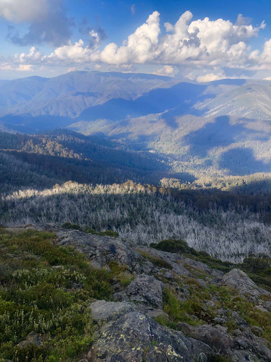 Fainter & spion kopje firetrail circuit hike 129