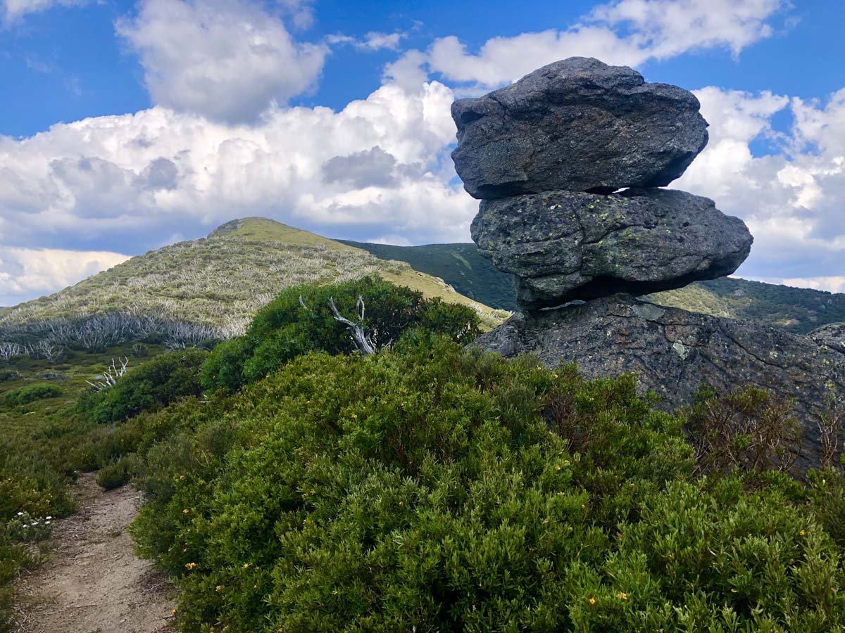 Fainter & spion kopje firetrail circuit hike 167