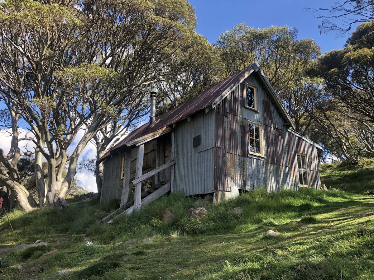 Fainter & spion kopje firetrail circuit hike 181