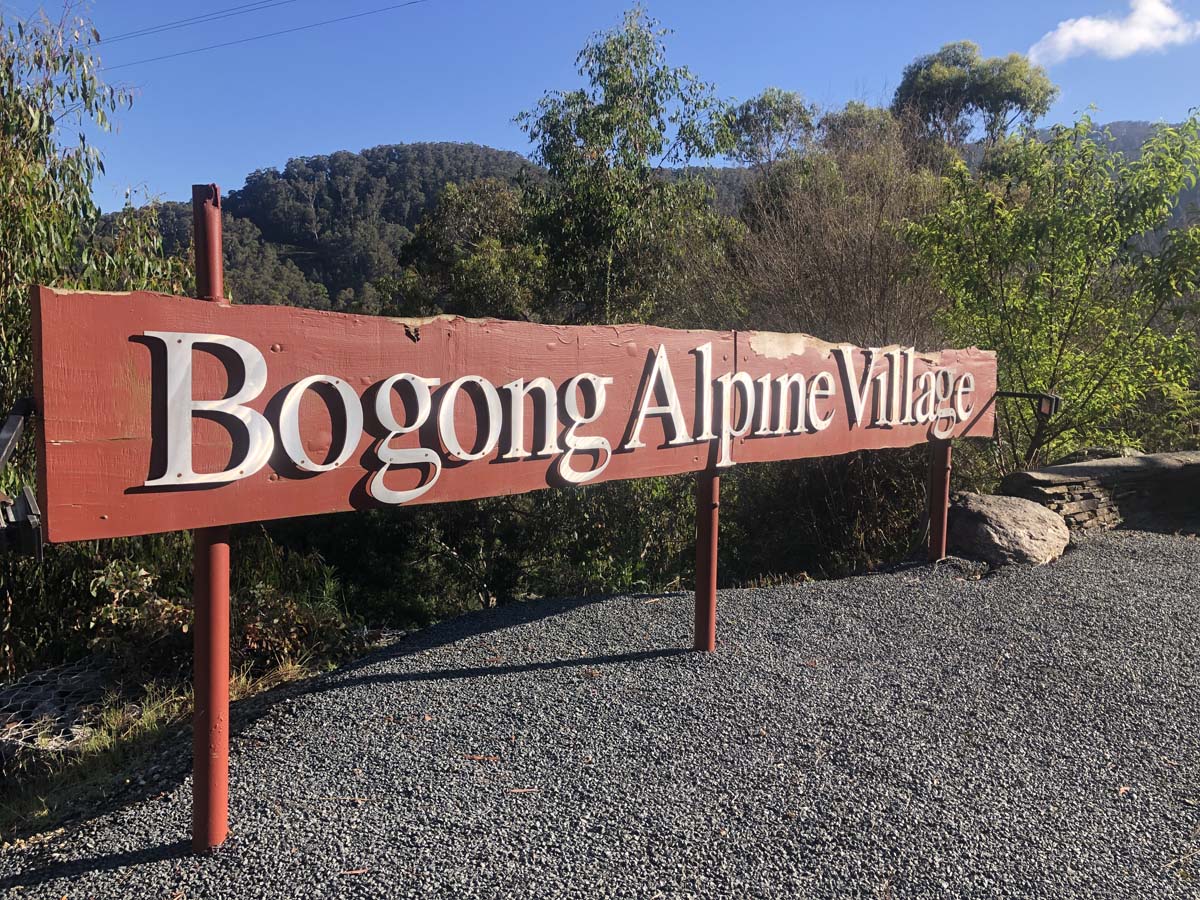 Fainter & spion kopje firetrail circuit hike 199