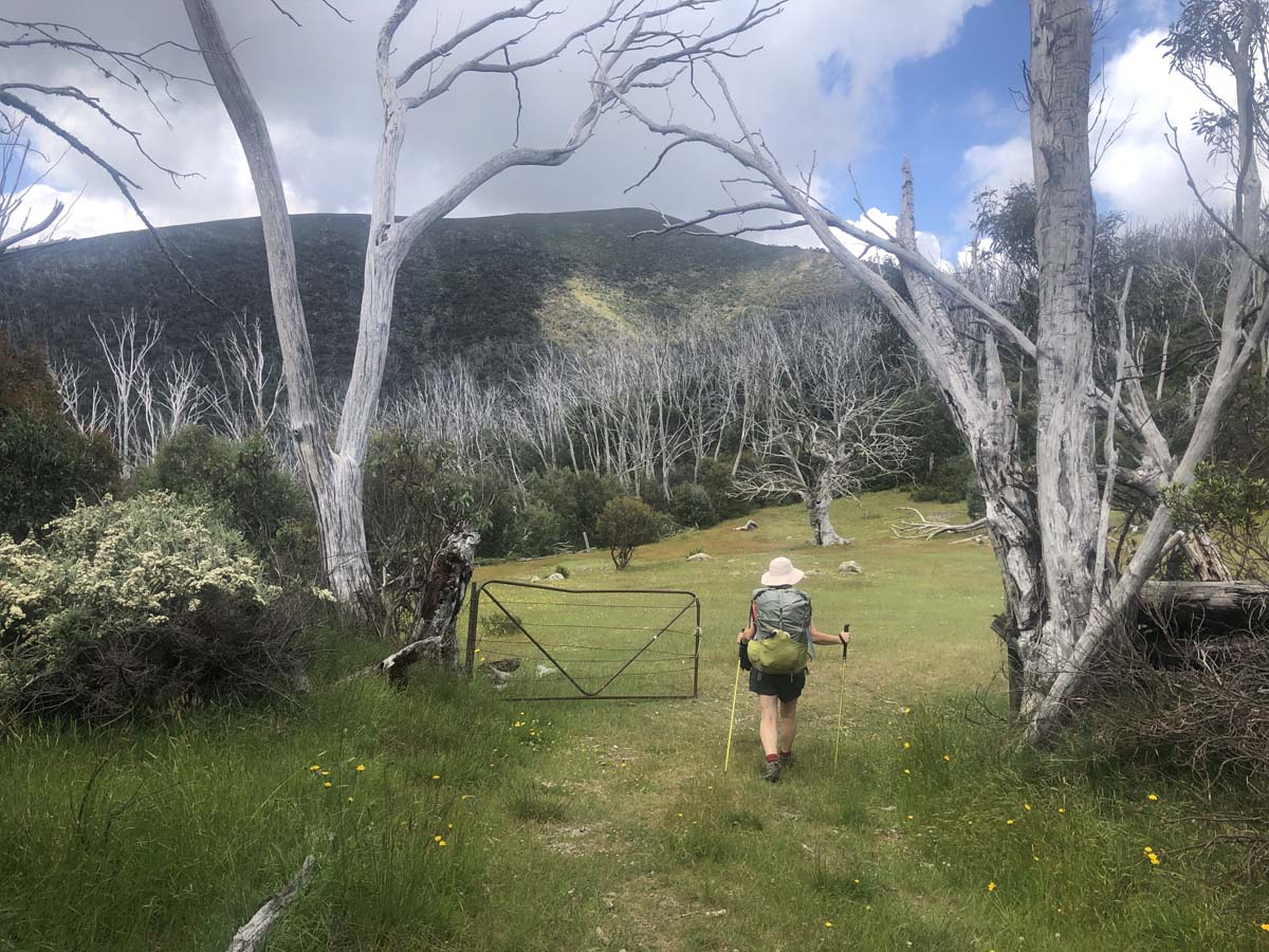 Fainter & spion kopje firetrail circuit hike 211